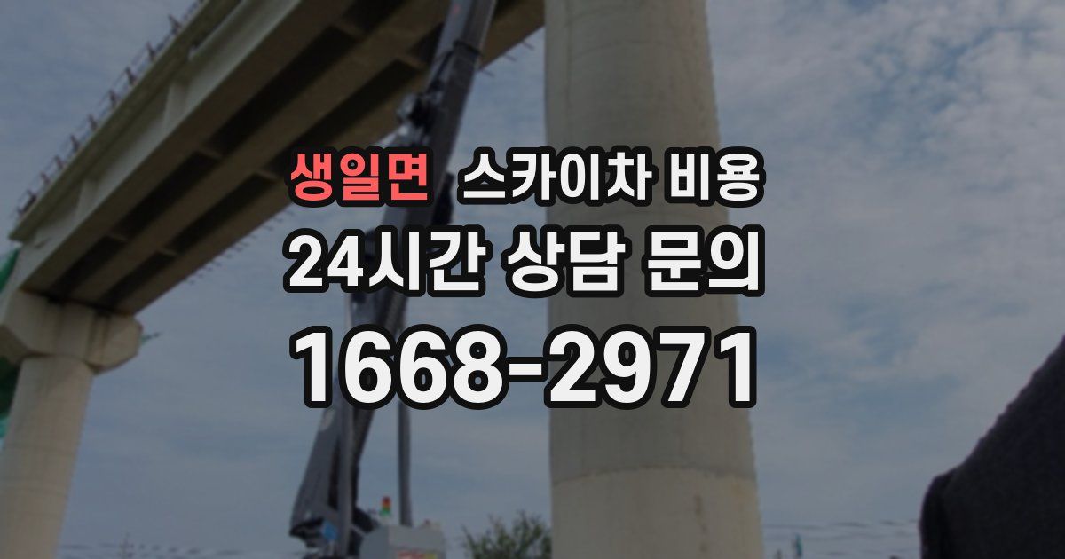 생일면 스카이차 비용