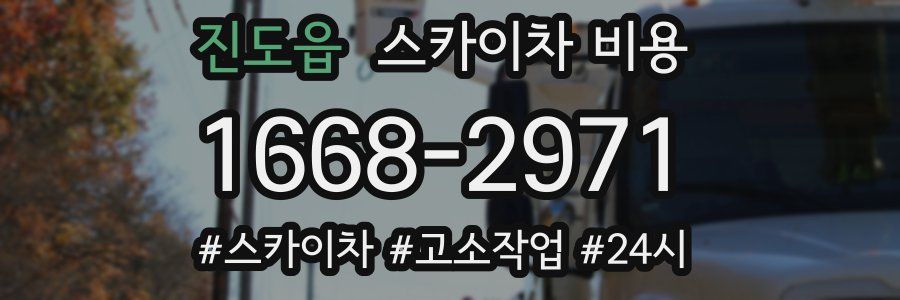 진도읍 스카이차 비용