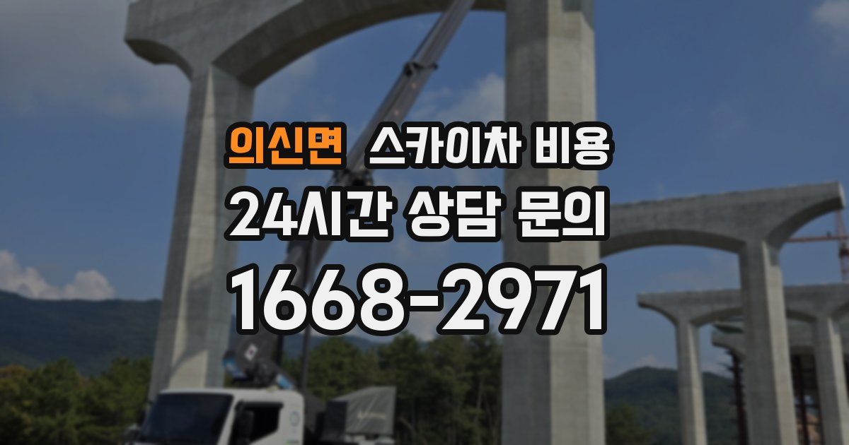 의신면 스카이차 비용