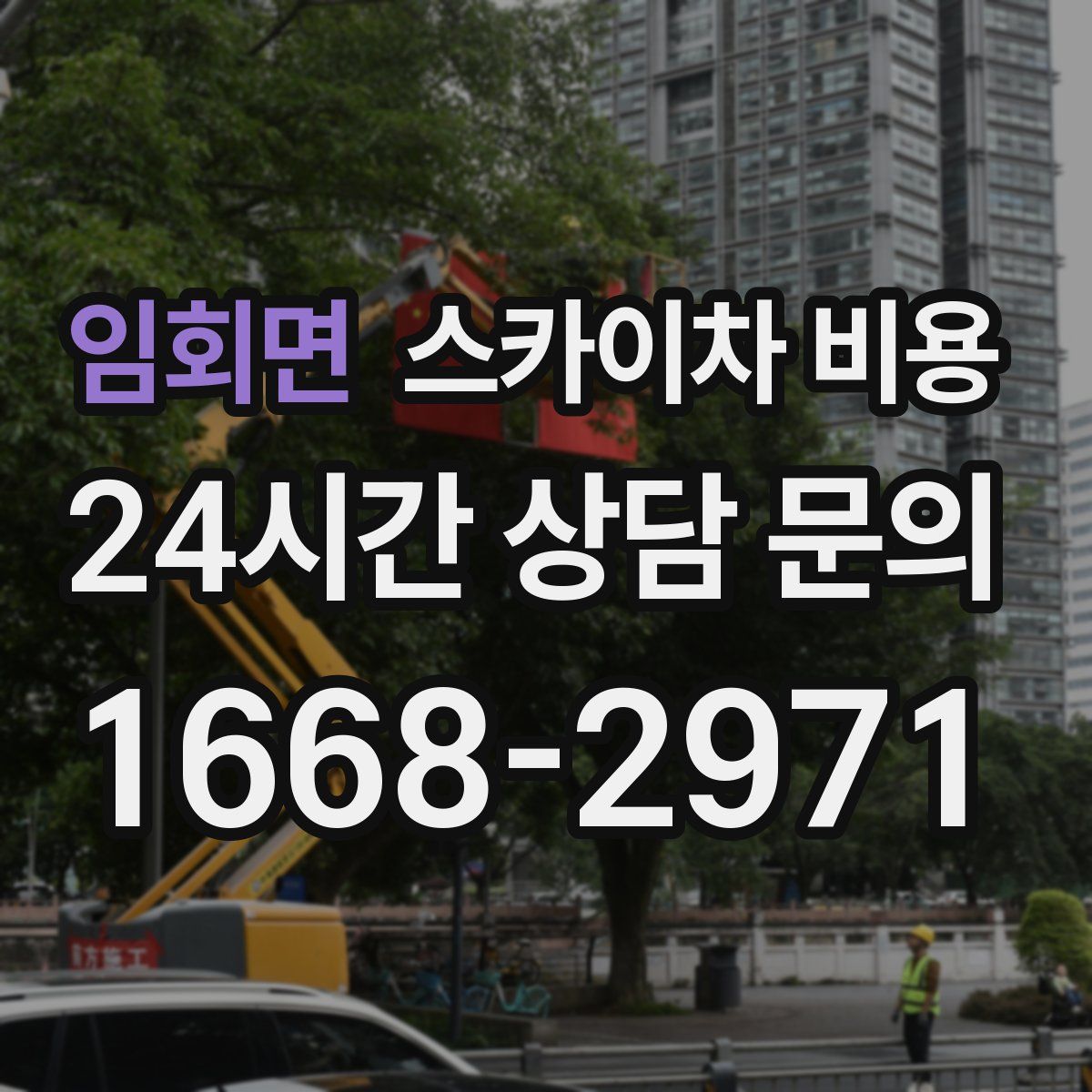 임회면 스카이차 비용