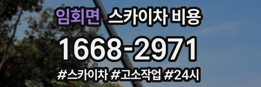 임회면 스카이차 비용