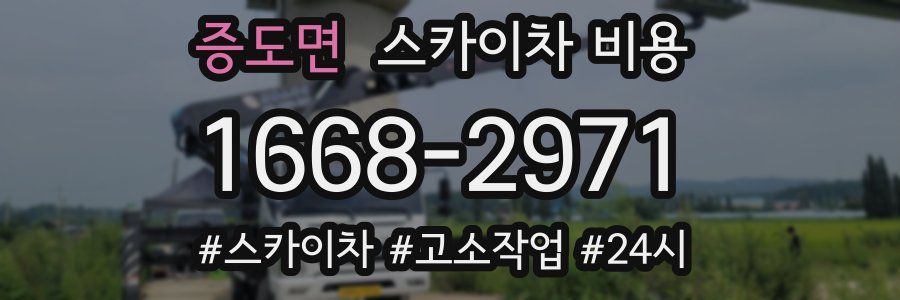 증도면 스카이차 비용