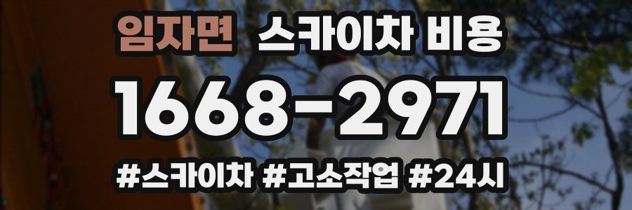 임자면 스카이차 비용