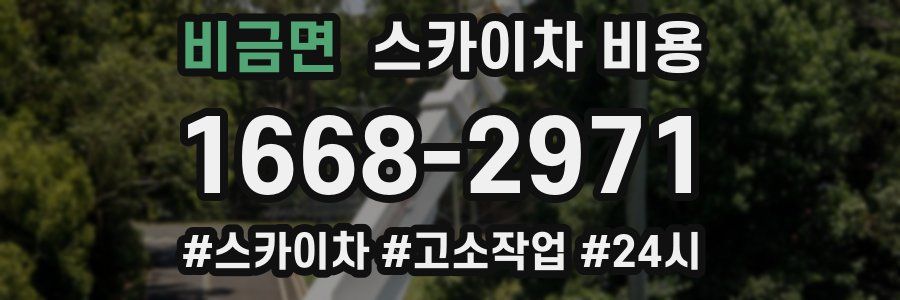 비금면 스카이차 비용