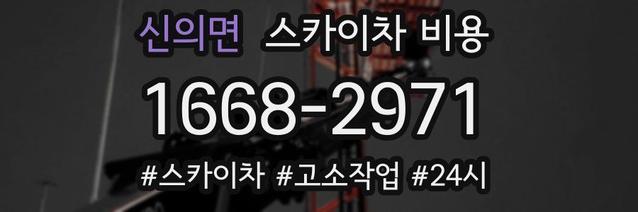 신의면 스카이차 비용