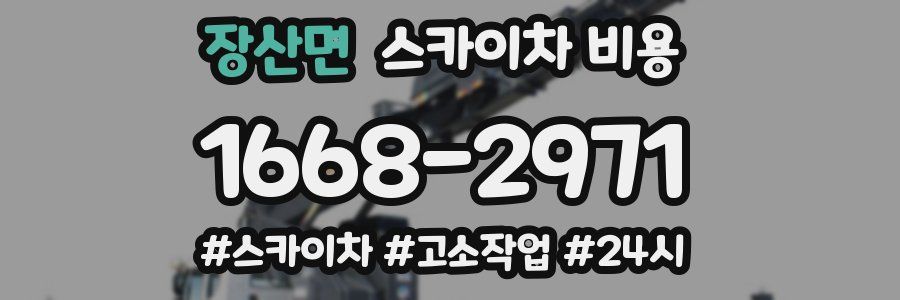 장산면 스카이차 비용