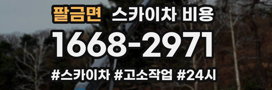 팔금면 스카이차 비용