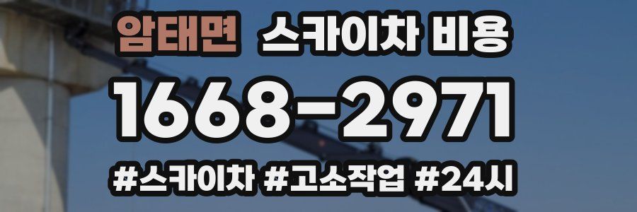 암태면 스카이차 비용