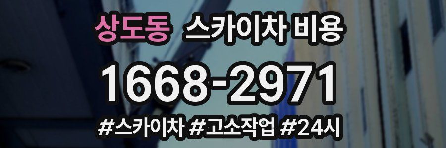 상도동 스카이차 비용