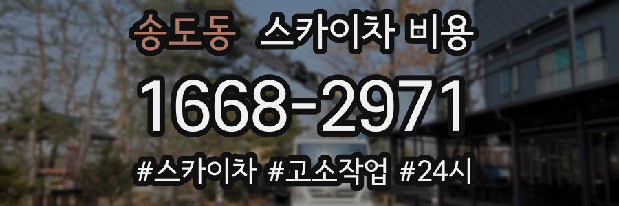 송도동 스카이차 비용