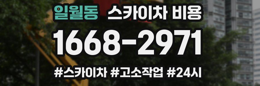 일월동 스카이차 비용