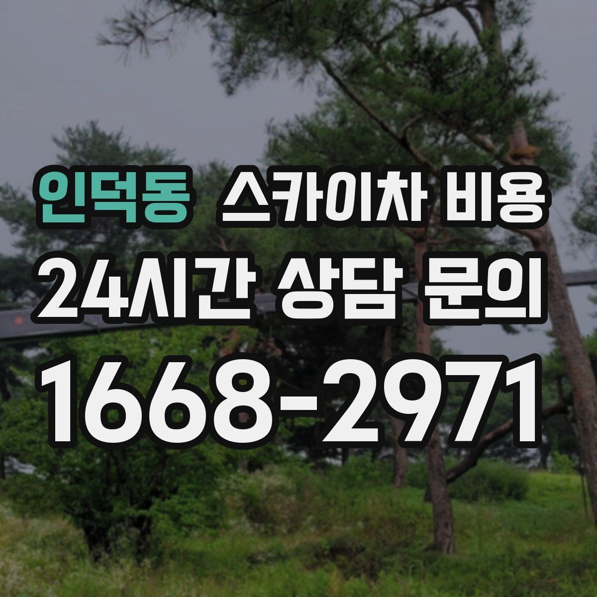 인덕동 스카이차 비용