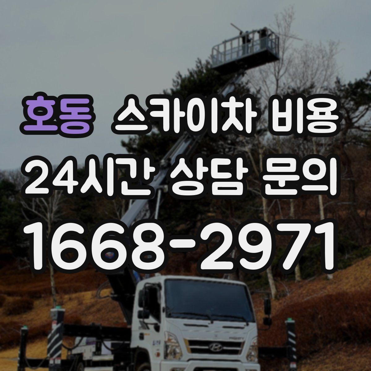 호동 스카이차 비용 작업 범위가 애매하면 견적이 달라지는 이유