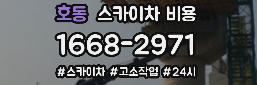 호동 스카이차 비용