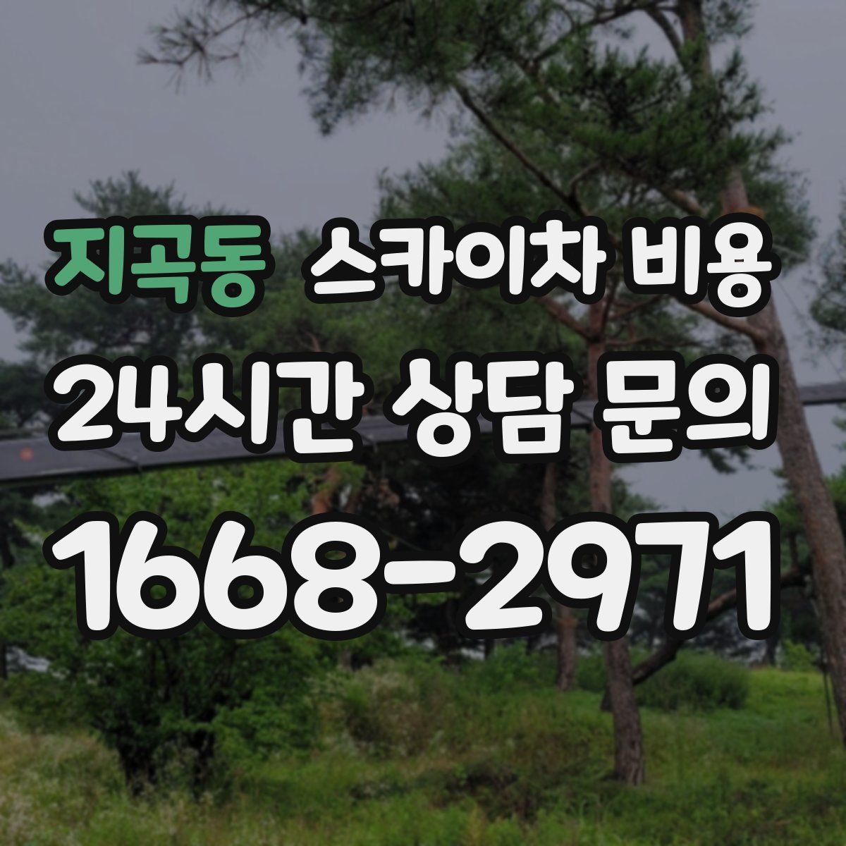 지곡동 스카이차 비용