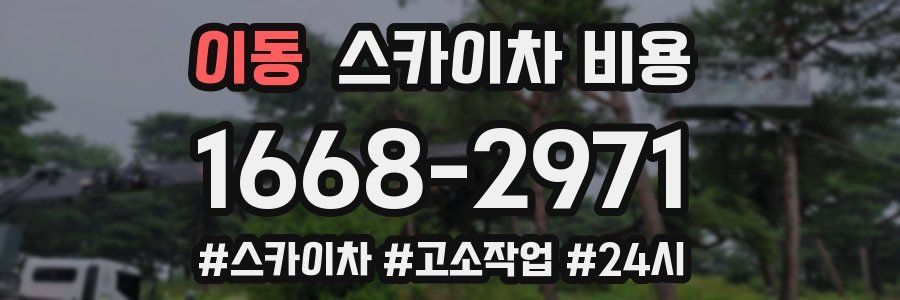 이동 스카이차 비용