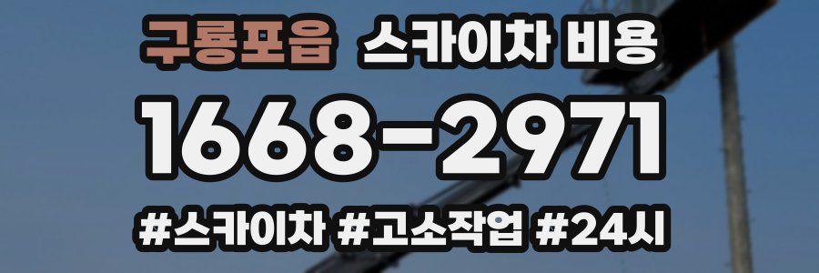 구룡포읍 스카이차 비용