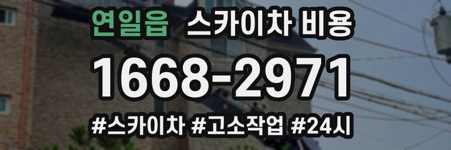 연일읍 스카이차 비용