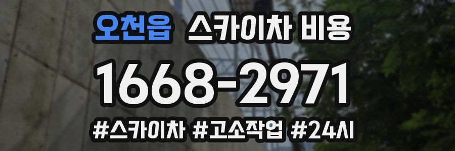 오천읍 스카이차 비용