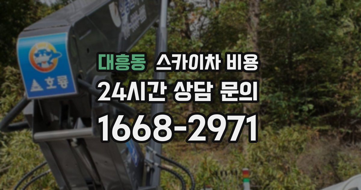 대흥동 스카이차 비용