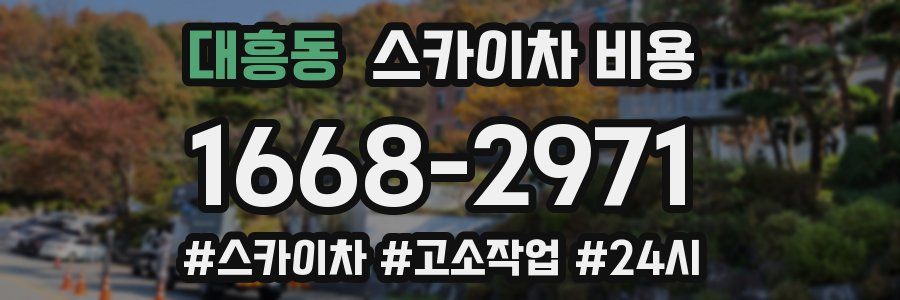 대흥동 스카이차 비용