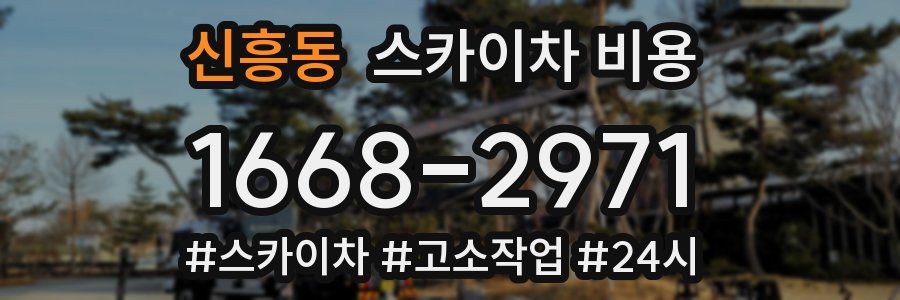 신흥동 스카이차 비용