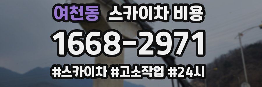 여천동 스카이차 비용