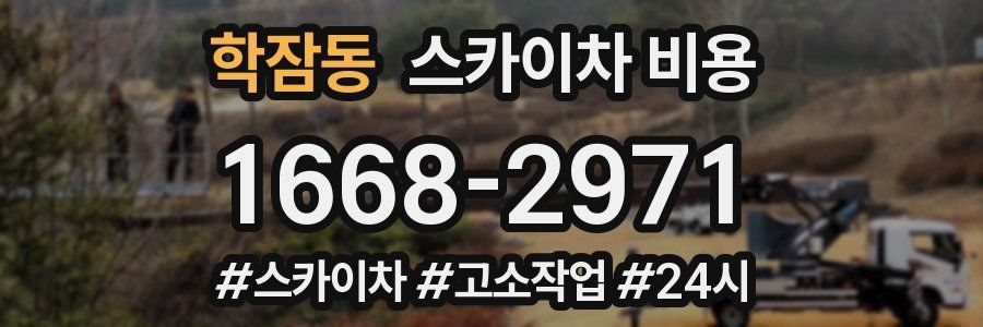 학잠동 스카이차 비용