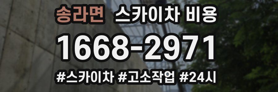 송라면 스카이차 비용