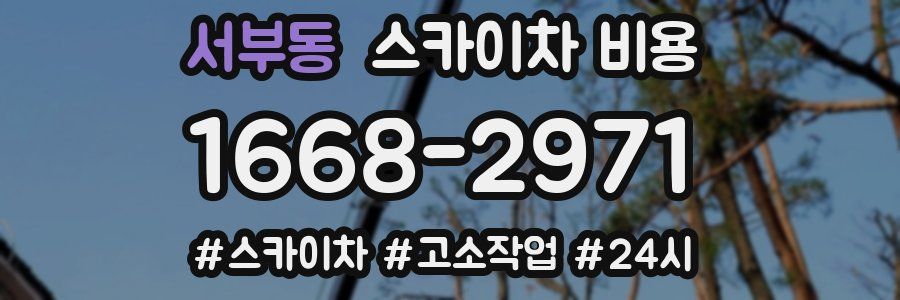 서부동 스카이차 비용