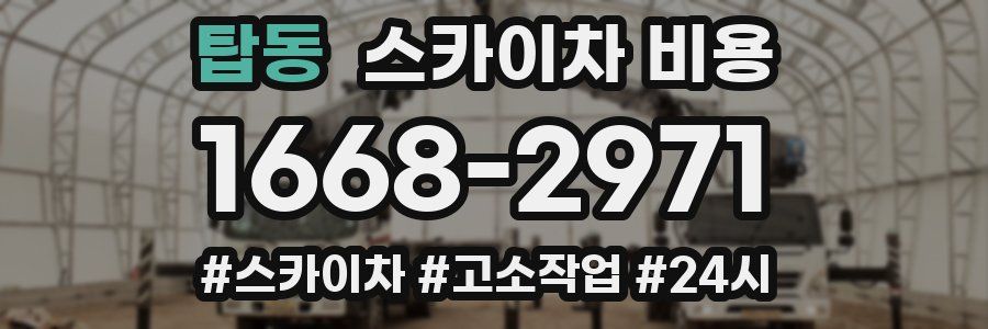 탑동 스카이차 비용