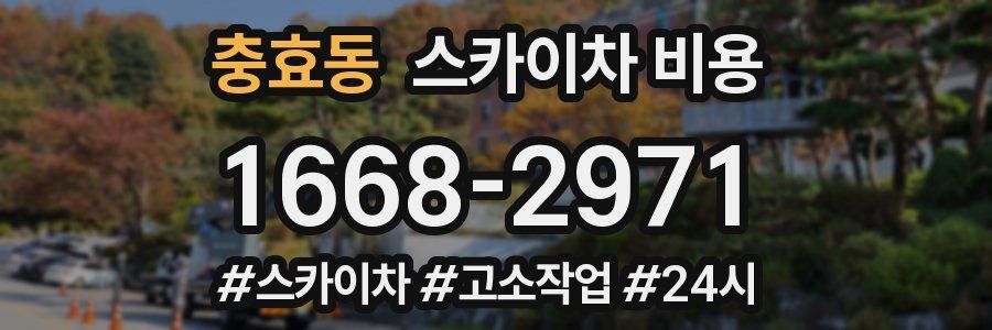 충효동 스카이차 비용