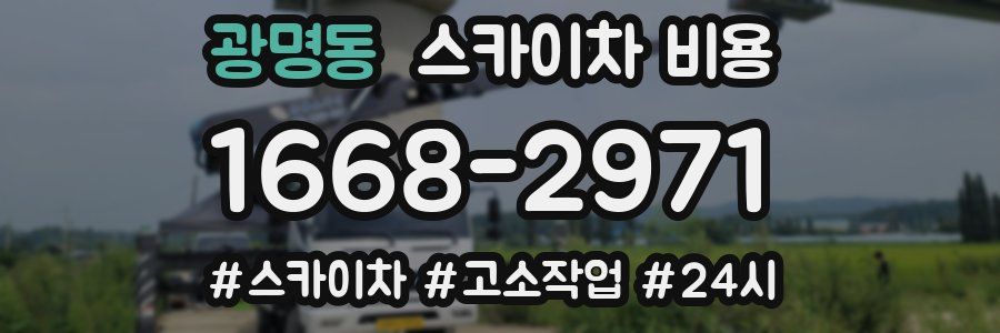 광명동 스카이차 비용