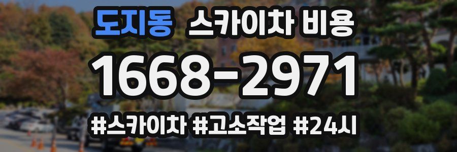 도지동 스카이차 비용