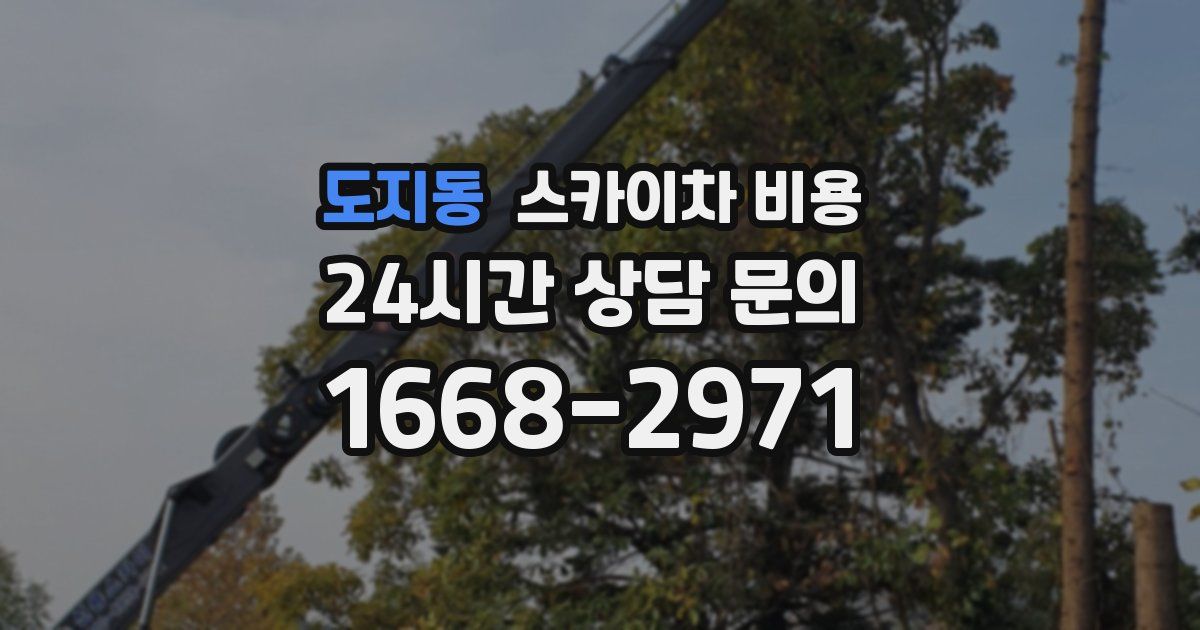 도지동 스카이차 비용