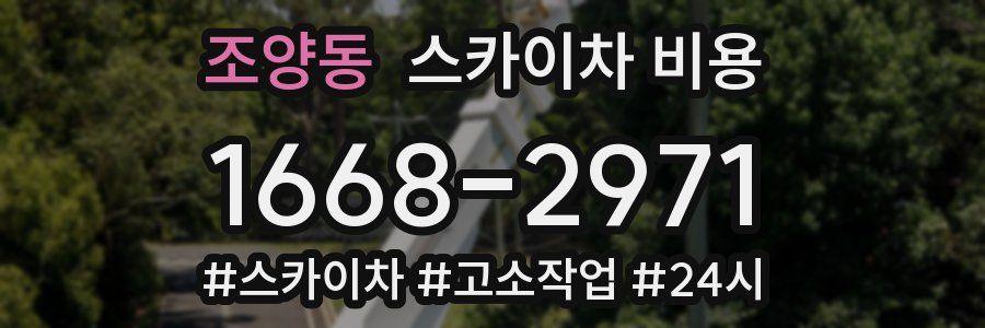 조양동 스카이차 비용