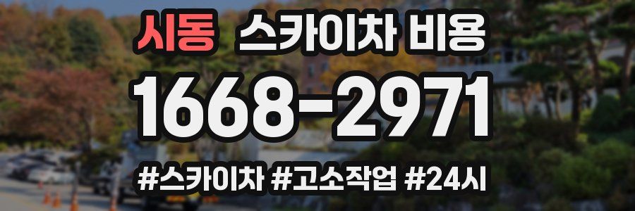 시동 스카이차 비용