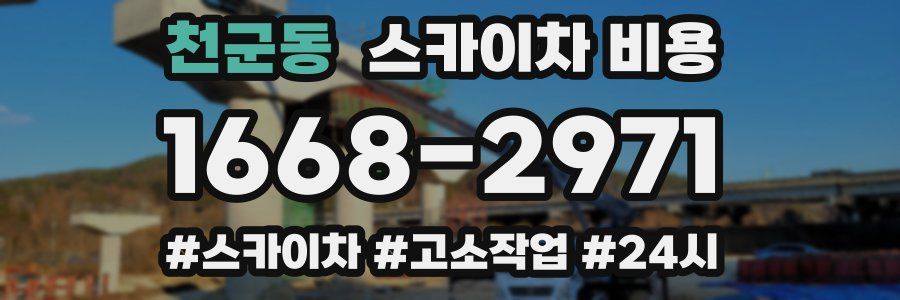 천군동 스카이차 비용