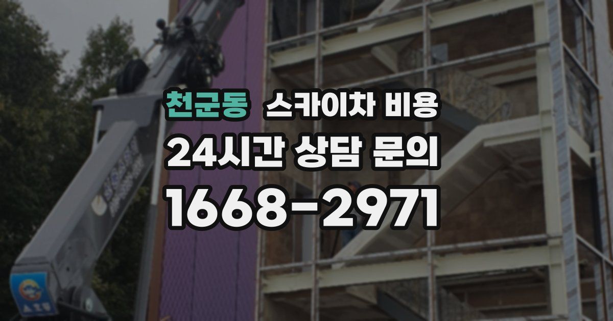 천군동 스카이차 비용