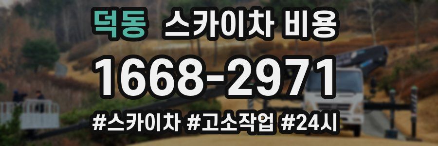 덕동 스카이차 비용