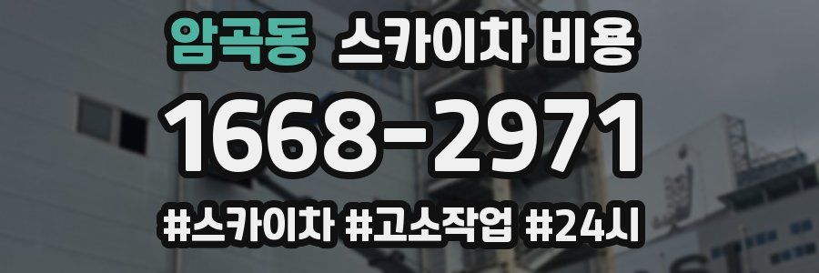 암곡동 스카이차 비용