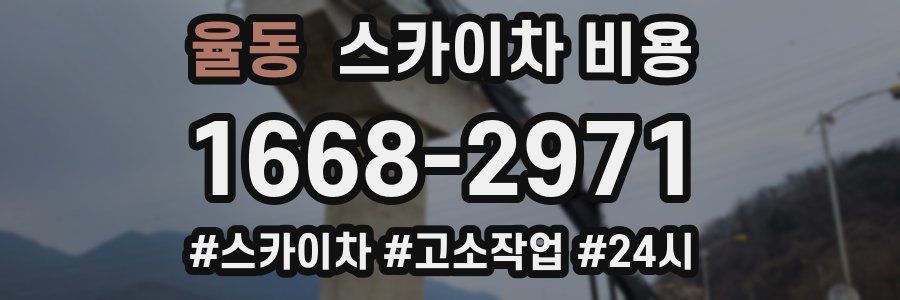 율동 스카이차 비용