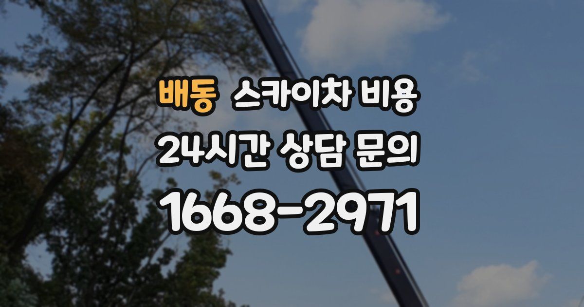 배동 스카이차 비용