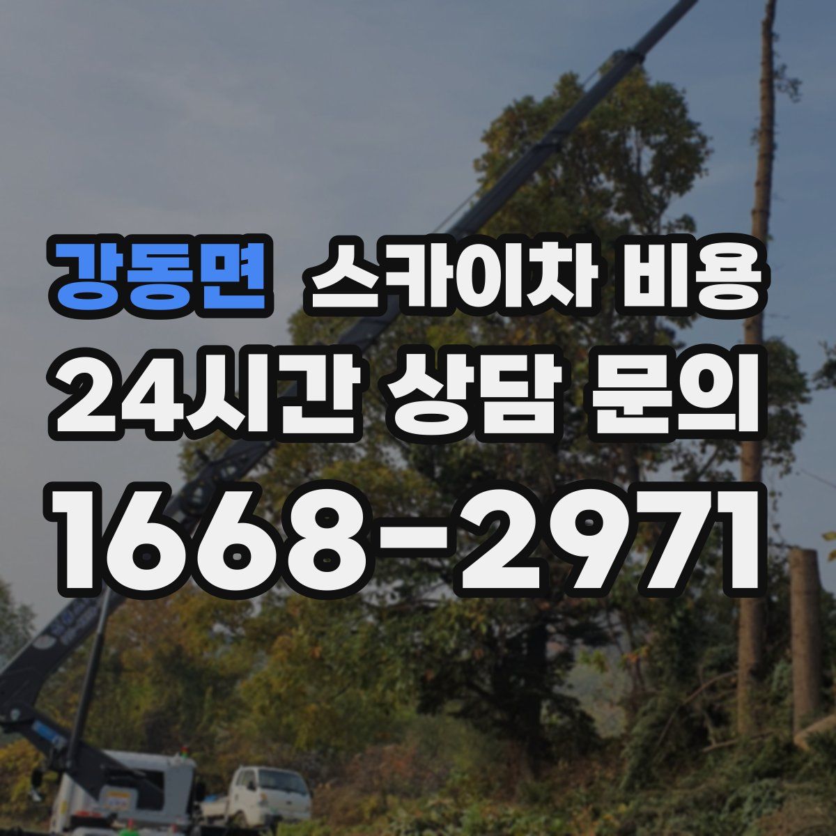 강동면 스카이차 비용