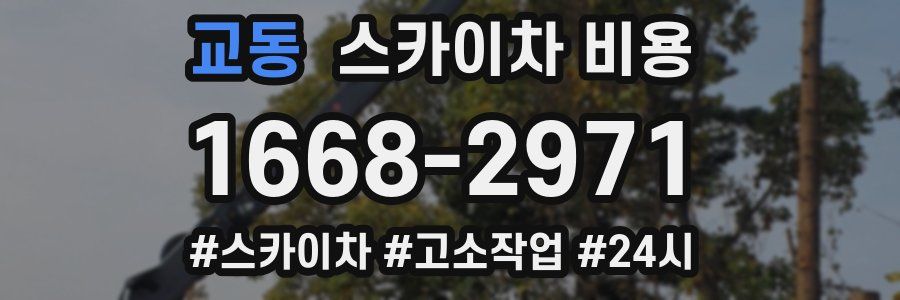 교동 스카이차 비용