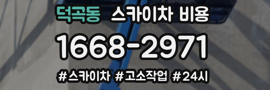 덕곡동 스카이차 비용