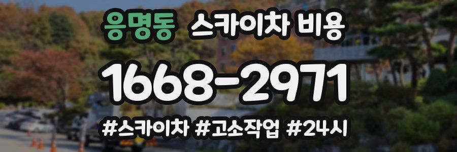 응명동 스카이차 비용