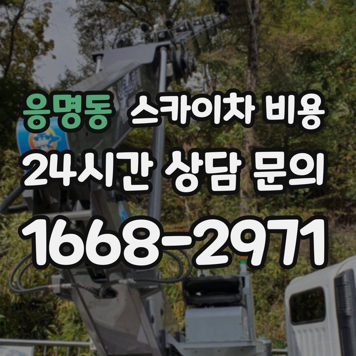 응명동 스카이차 비용