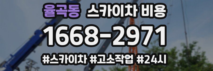 율곡동 스카이차 비용