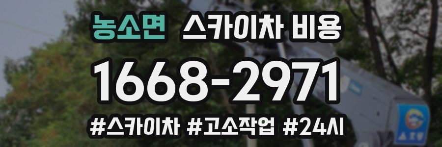 농소면 스카이차 비용